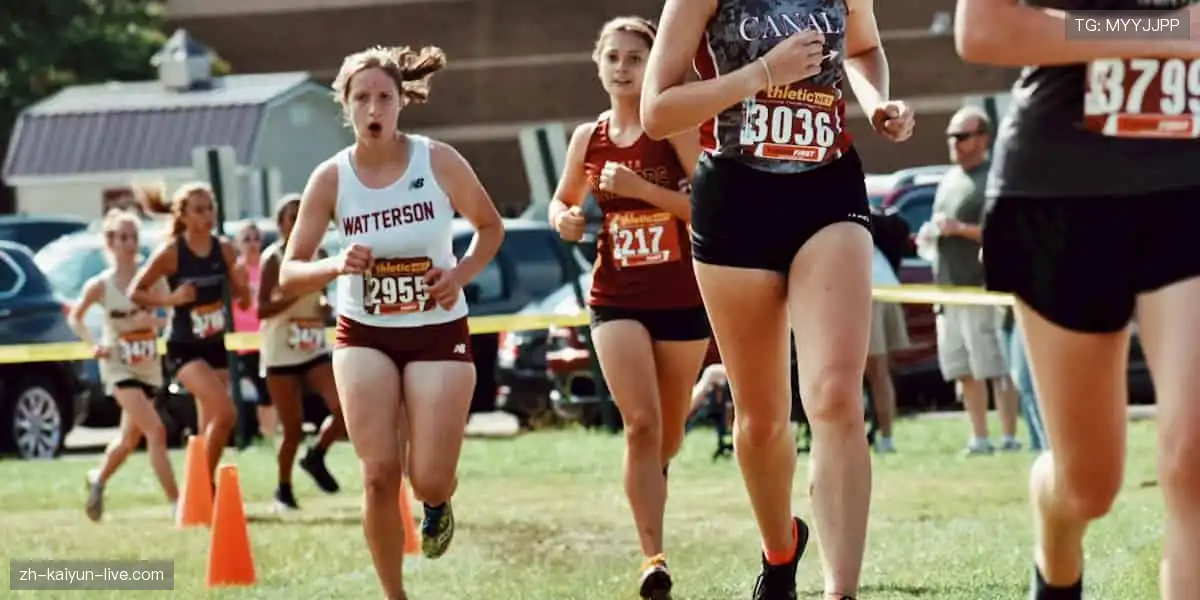 「从球衣到签名纪念品，你的热爱值得专属收藏！🎯点击探索，把偶像带回家！」